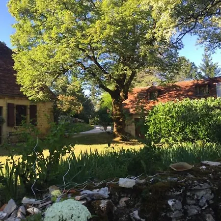 Maison En Pierre Dans La Foret - Piscine & Calme *