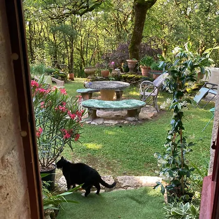 Maison En Pierre Dans La Foret - Piscine & Calme 別荘 マルテル