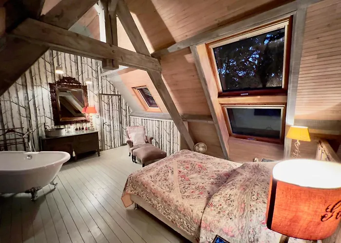 Maison En Pierre Dans La Forêt - Piscine&calme Hébergement de vacances *