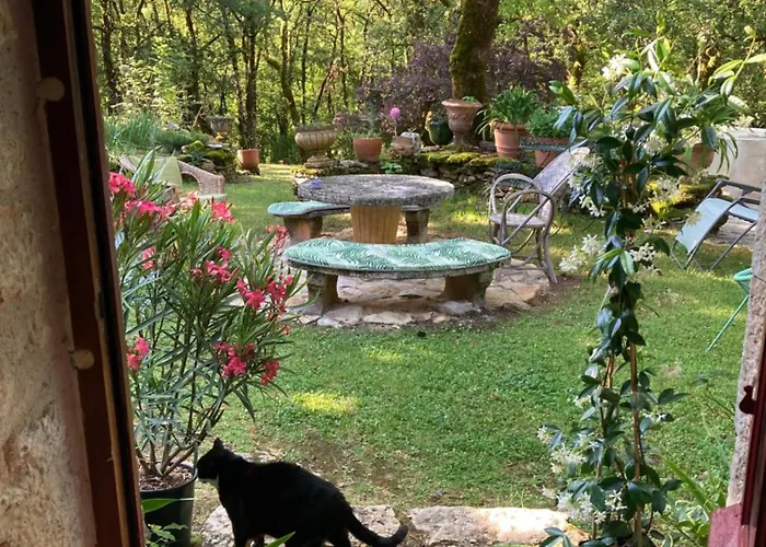 Maison En Pierre Dans La Forêt - Piscine&calme Hébergement de vacances Martel